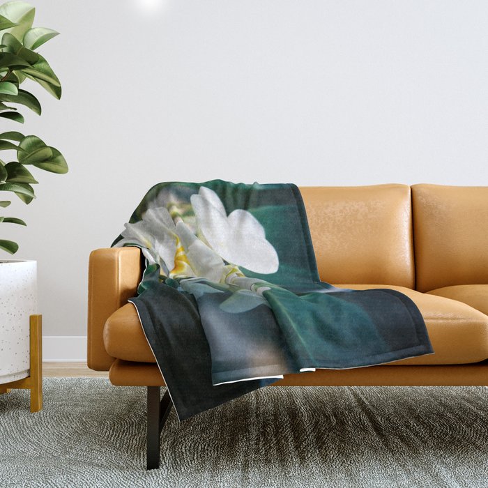 Pua blanket sales
