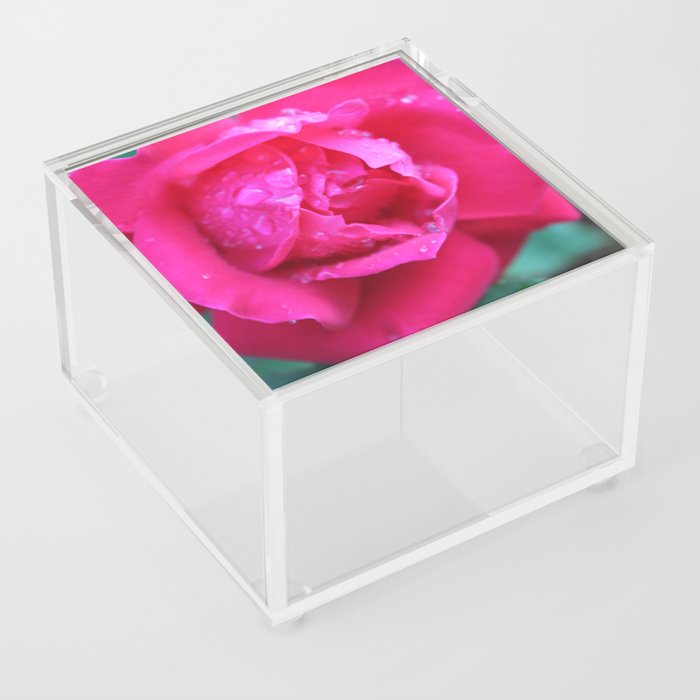 Rose Acrylic Box