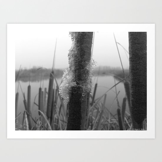 Water fog and frost Art Print