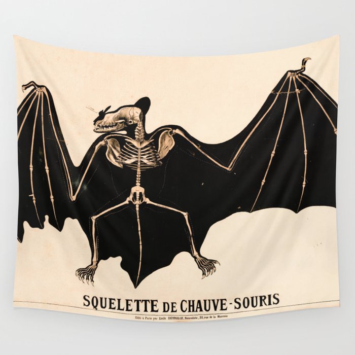 Vintage French zoological board - Bat skeleton Wall Tapestry