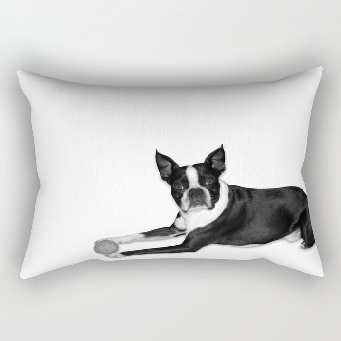 Fetch Boston Terrier B/W Rectangular Pillow