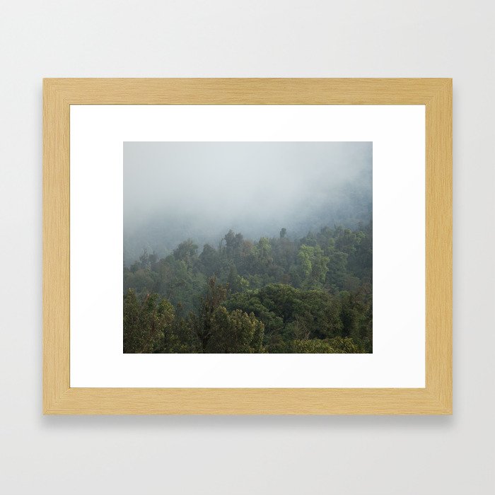 Guatemalan Forest Framed Art Print