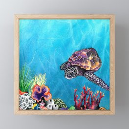 Sea Turtle Framed Mini Art Print