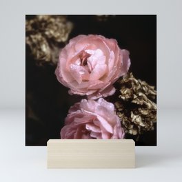 Rose Garden XX Mini Art Print