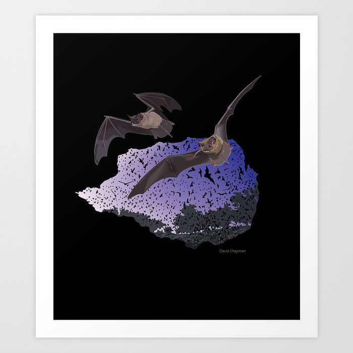 Bracken Cave Bats Art Print
