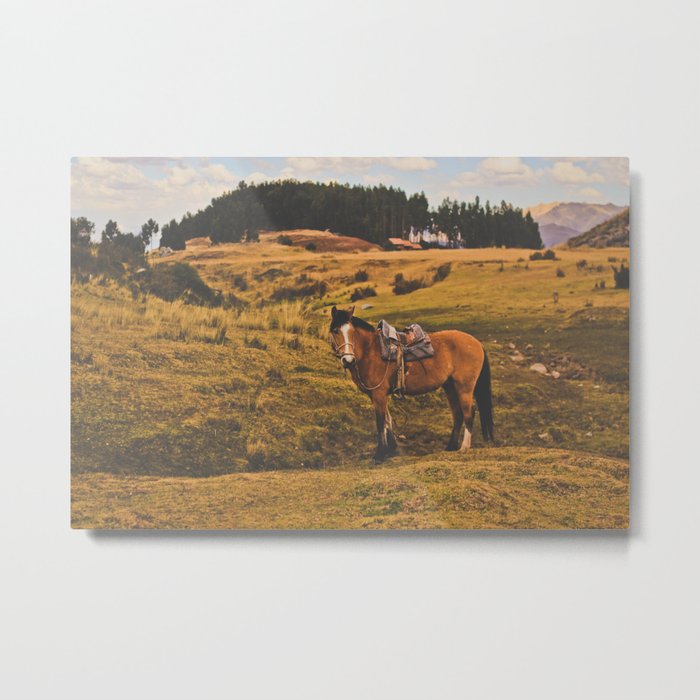 Horse among the sacred fields (Cusco, Peru) Metal Print