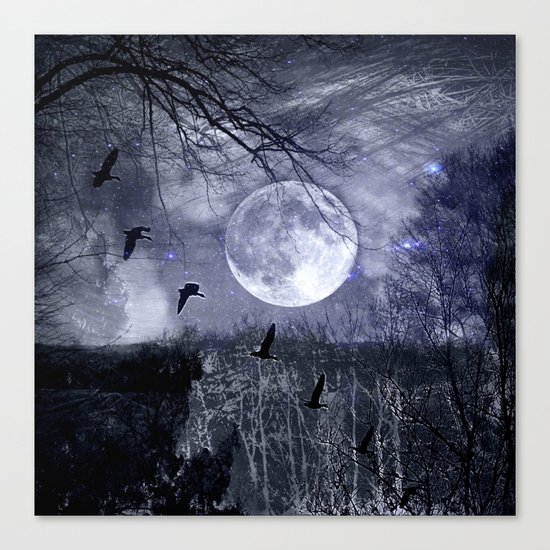 full moon in the woods Canvas Print