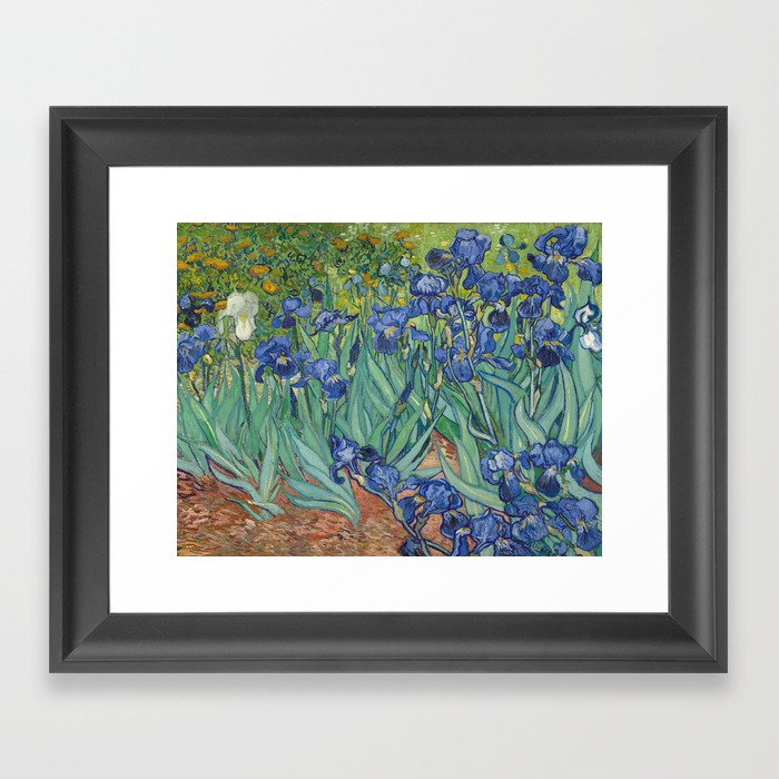 Irises by Vincent van Gogh Framed Art Print