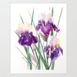 Irises, purple floral art, garden iris Art Print