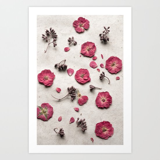 Botanical Bits Art Print