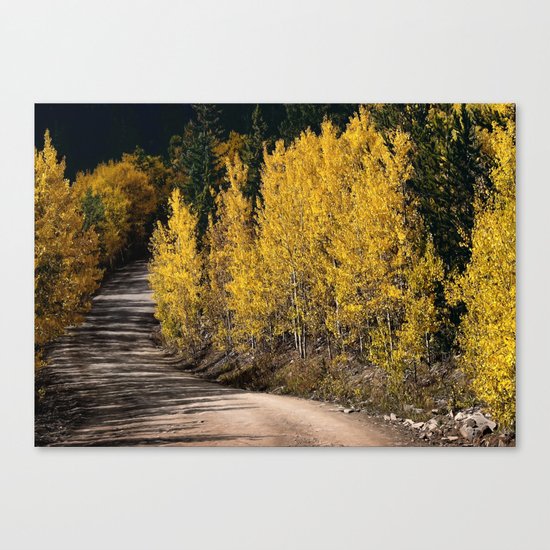 Autumn Road Canvas Print