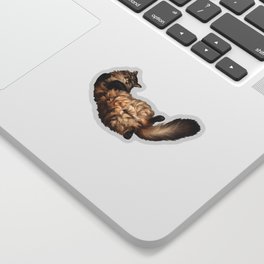 Cute Siberian cat lies tummy up Sticker