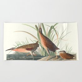 Virginia Rail from Birds of America (1827) by John James Audubon Beach Towel