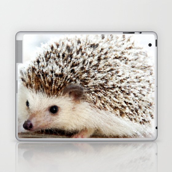 Geometric Hedgehog Laptop & iPad Skin