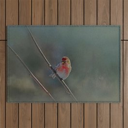 Redpoll Outdoor Rug