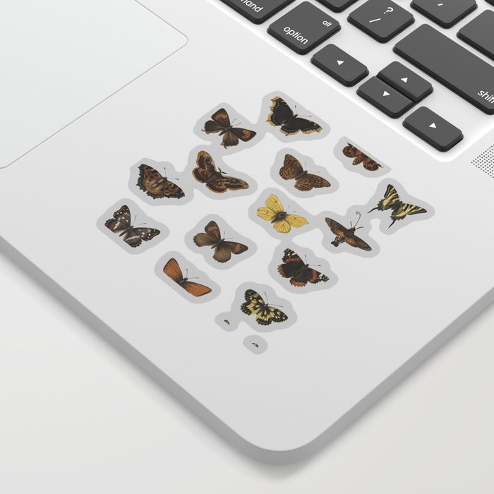 Butterfly Moth Pattern Sticker