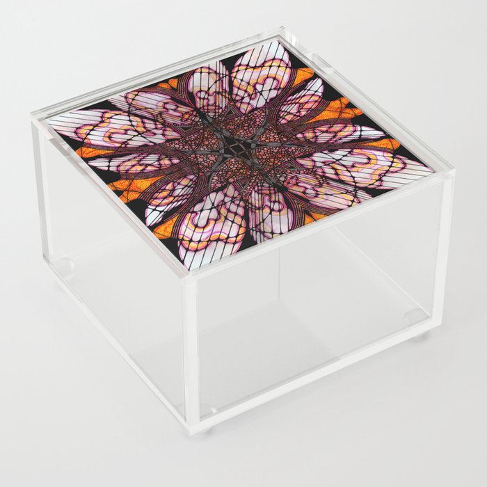 Monarch butterfly  Acrylic Box