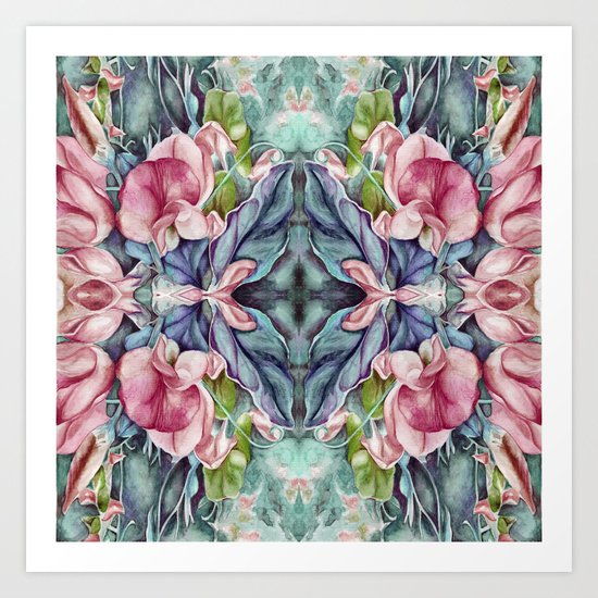 Lathyrus 3 Art Print