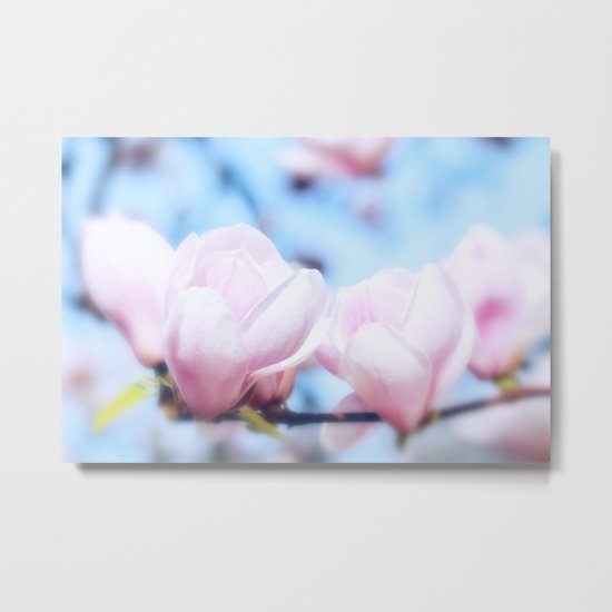 MAGNOLIAS Metal Print