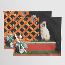 Cat On Steps Placemat