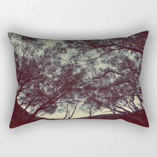 String theory Rectangular Pillow