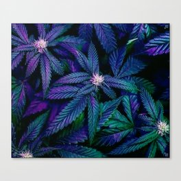 Psychedelic Marijuana Cannabis Ganja Print Canvas Print