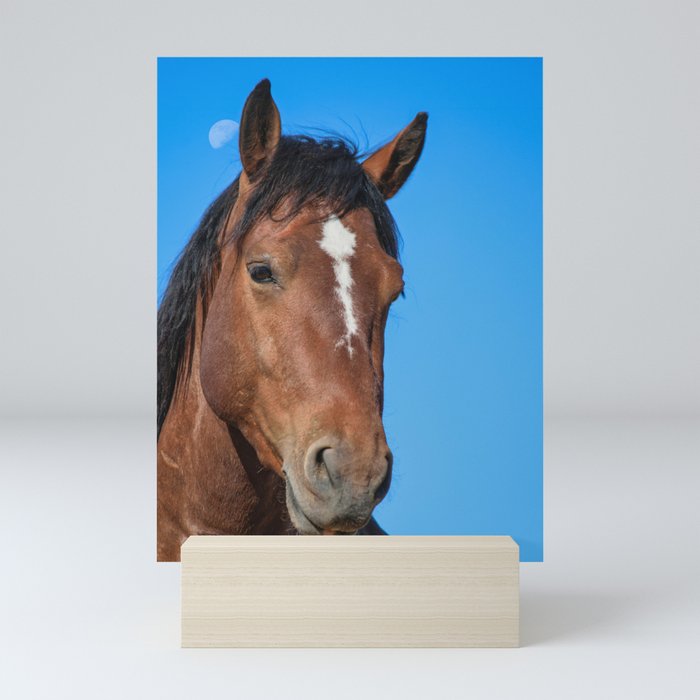 Wild Stallion 0304 - Southern Nevada Desert Mini Art Print