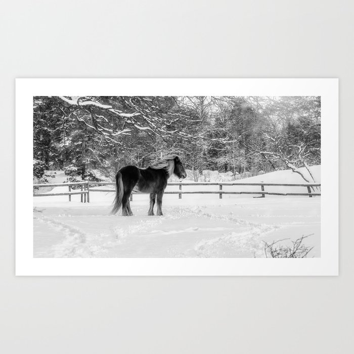 Chestnut Horse in Winter Scene - Black & White Art Print