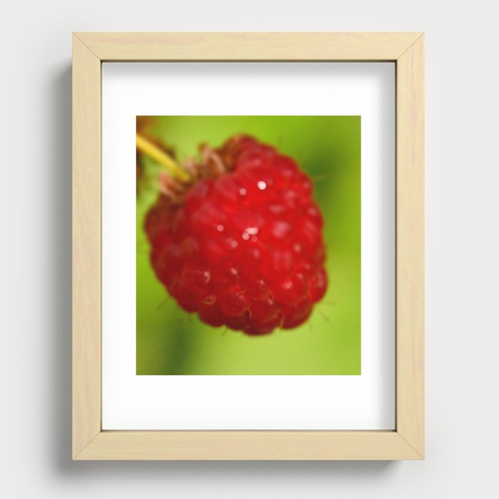 Frucht  2  Recessed Framed Print