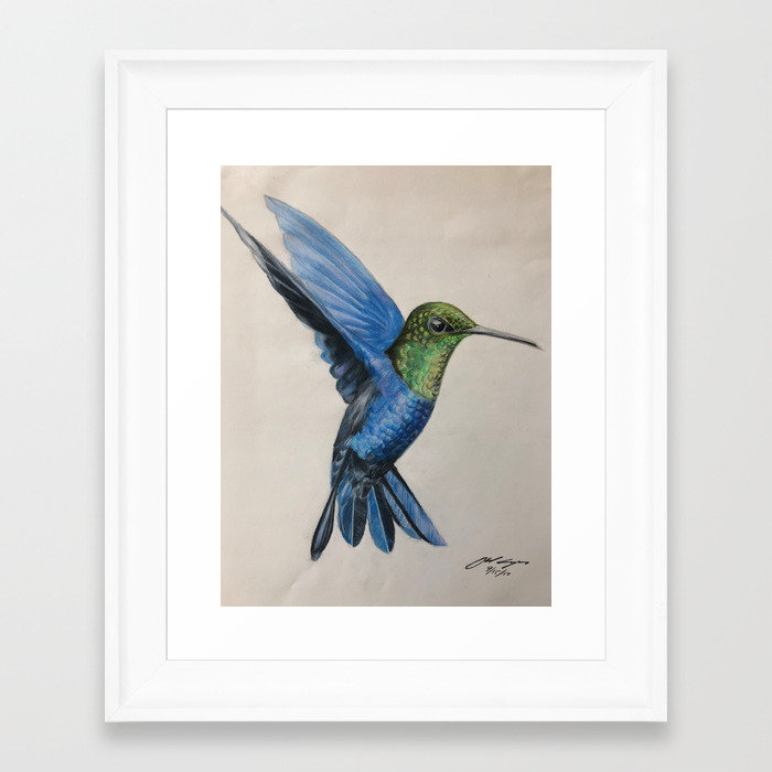 Colorful Hummingbird Framed Art Print By Abelcam Society6