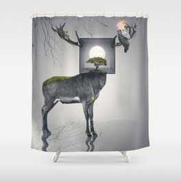 Within Shower Curtain