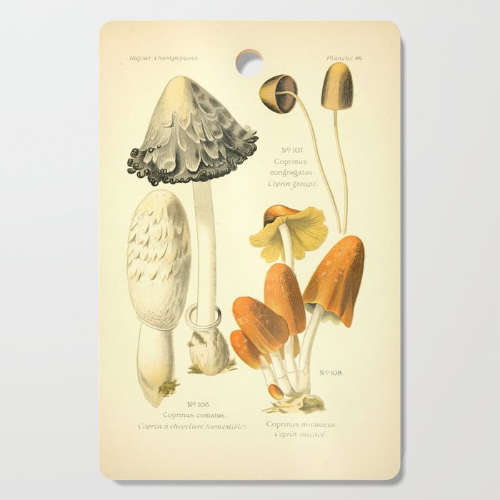 Mushrooms from "Atlas des Champignons Comestibles et Vénéneux," 1891 (benefitting The Nature Conservancy) Cutting Board