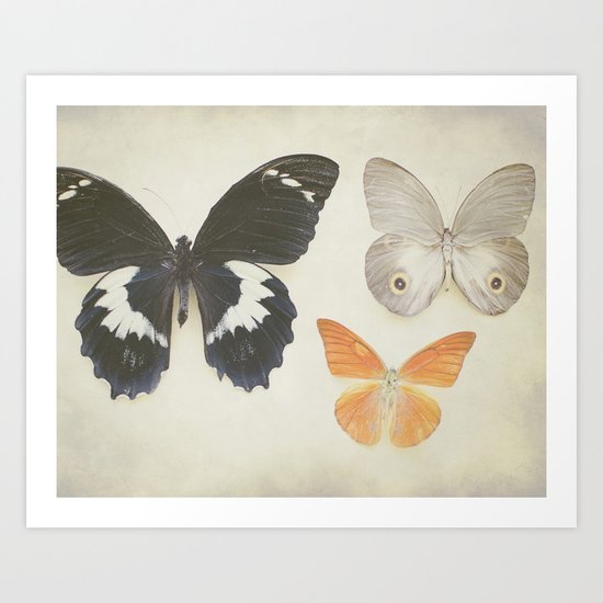 Brown Butterflies Art Print