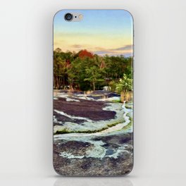 Evergreens and Riverbeds iPhone Skin