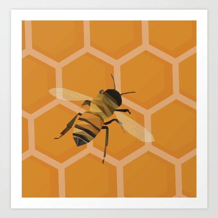 Honey Bee Comb Art Print