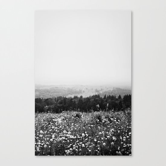 Mountain Wildflowers Canvas Print