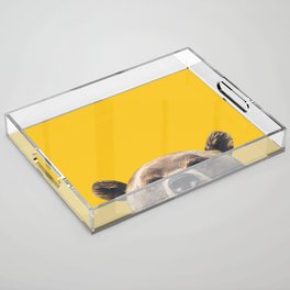 Bear - Yellow Acrylic Tray