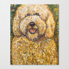 The Picture of Doodle Golden Canvas Print