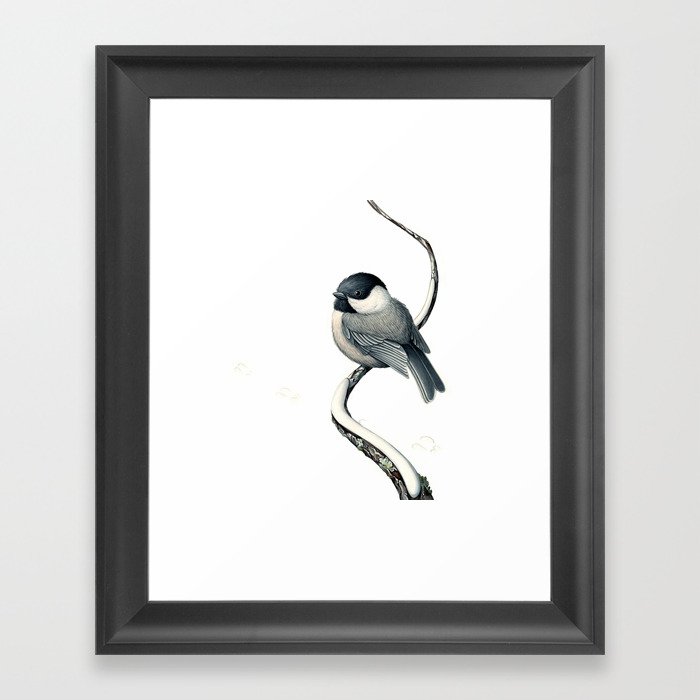 Black-capped Chickadee Framed Art Print