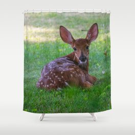 Deer Baby Fawn Cute Wildlife Animal Photography Print Shower Curtain