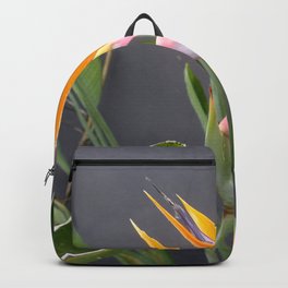 Multicolored Bird Of Paradise Flower Photograph Backpack