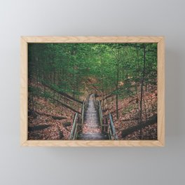 Boardwalk stairs down into the wooded part of a park in Michigan Framed Mini Art Print