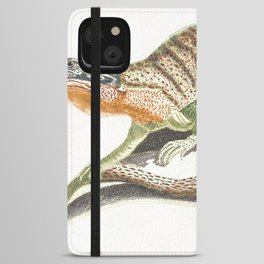 A Lizard  iPhone Wallet Case