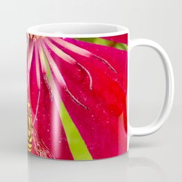 Flowers & bugs RED PASSION FLOWER & HOVERFLY Mug