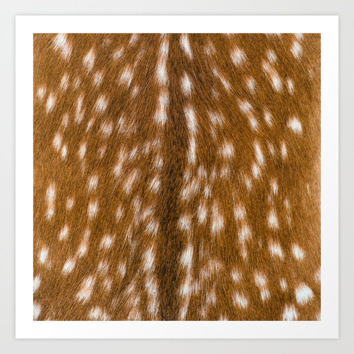 Farmakologi Plenarmøde Snart Natural deer skin, hide pattern photo Art Print by medsis | Society6