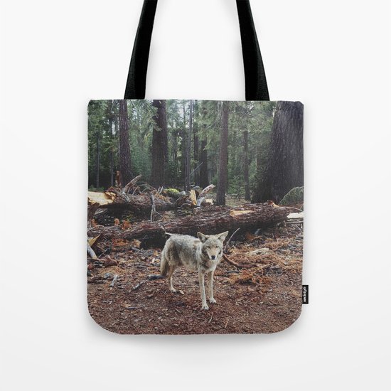 Injured Coyote Tote Bag