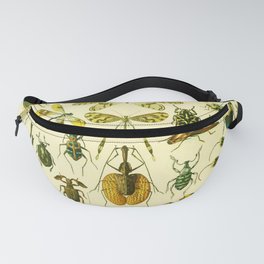 Adolphe Millot "Insectes" 2. Fanny Pack