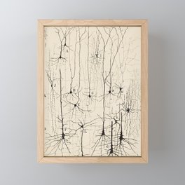 Santiago Ramon y Cajal Neurons Drawing Framed Mini Art Print