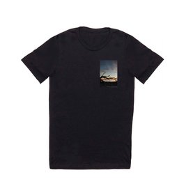Driftwood against the Sunrise T Shirt | Digital, Photo, Morning, Early, Natural, Outdoors, Island, Driftwood, Sky, Color 