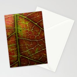 Autumn texture Stationery Cards